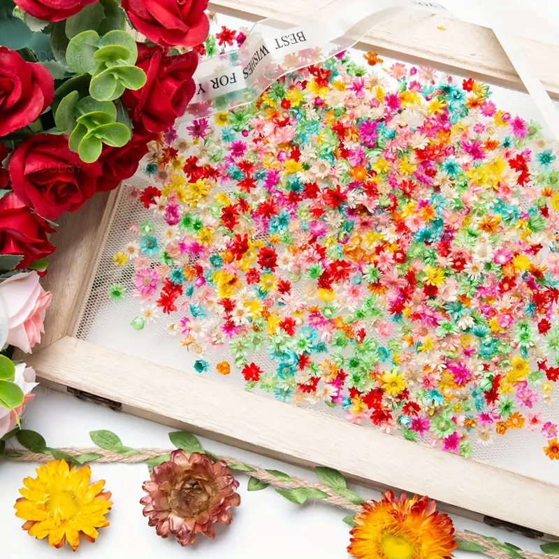 El Sanatları için Klasik Yapay - Resin Art Earrings Design incelemesi ve fiyatı